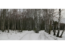 IMG 20200229 110905.jpg