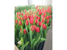 IMG 20190223 154504.jpg