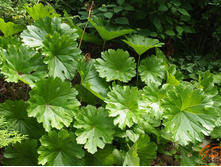 �������*