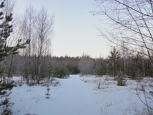 IMG 20200222 073418.jpg