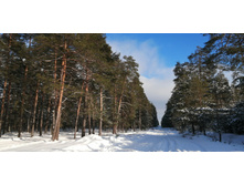 IMG 20200208 141926.jpg