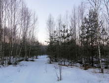 IMG 20200222 073315.jpg