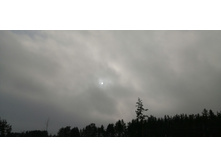 IMG 20200216 111255.jpg