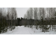 IMG 20200216 113829.jpg