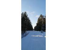 IMG 20200208 143556.jpg