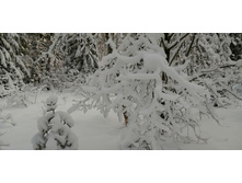 IMG 20200209 113519.jpg