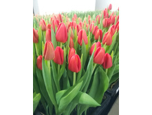 IMG 20190223 154459.jpg