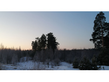 IMG 20200222 075623.jpg