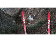 IMG 20200222 071257.jpg