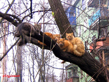 �ģ� ����!