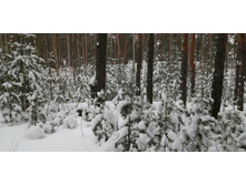 IMG 20200208 113646.jpg