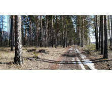 IMG 20200222 121418.jpg