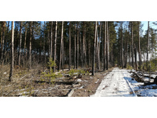 IMG 20200222 115010.jpg