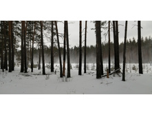 IMG 20200208 115818.jpg