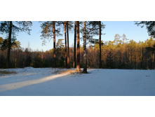 IMG 20200222 092500.jpg