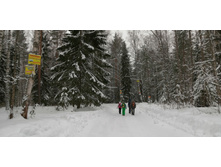 IMG 20200209 095559.jpg