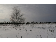 IMG 20200209 180203.jpg