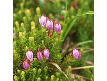 ��������� ���������.jpg