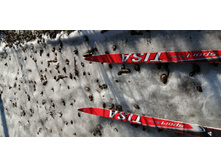 IMG 20200222 114938.jpg