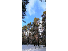 IMG 20200208 140241.jpg