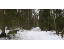 IMG 20200229 113346.jpg