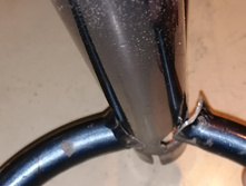 IMG 20200221 071812.jpg