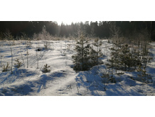 IMG 20200222 090910.jpg