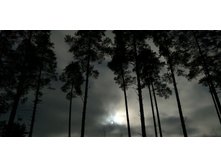 IMG 20200208 132959.jpg