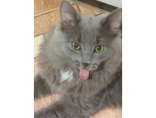 IMG 20200114 231221.jpg