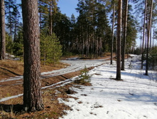 IMG 20200222 120429.jpg