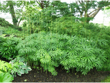 ���������� ��������������.jpeg