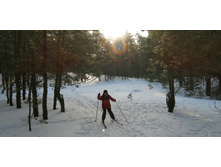 IMG 20200216 094908.jpg