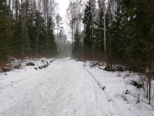 IMG 20200308 110815.jpg