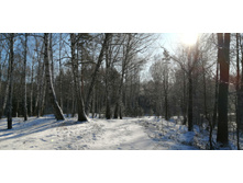 IMG 20200301 100903.jpg