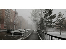 IMG 20200315 115645.jpg