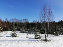 IMG 20200301 121505.jpg