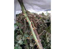 IMG 20200303 115137.jpg