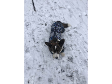 ����������� viber 2020-03-15 14-42-03.jpg