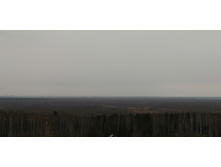 IMG 20200307 121909.jpg