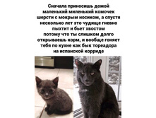 ���� ����� ...