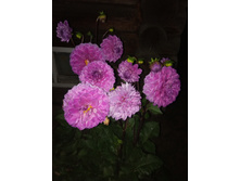 IMG 20190916 045643.jpg