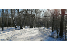 IMG 20200301 100811.jpg