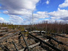 IMG 20200322 103703.jpg