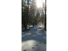 IMG 20200301 120500.jpg