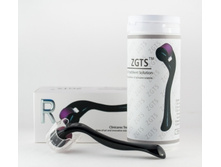 ���������� ZGTS, ����� ��� 1 �� ���� 2100 �.jpg