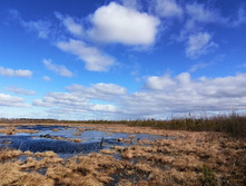 IMG 20200321 110738.jpg