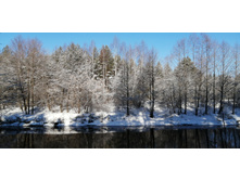 IMG 20200301 112437.jpg