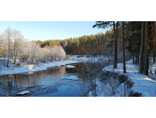 IMG 20200301 112536.jpg