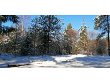 IMG 20200301 111730.jpg