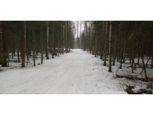 IMG 20200308 104131.jpg